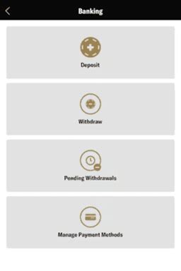 Withdrawal Method Options on BetMGM .